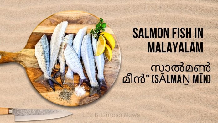 Salmon Fish in Malayalam