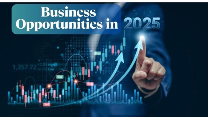 Business Opportunities in 2025